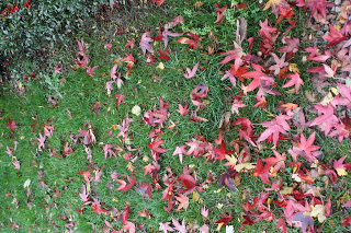 The Gallery: Autumn