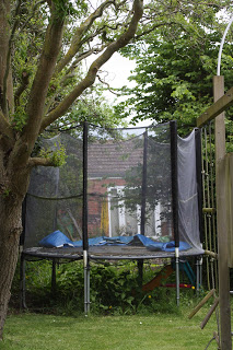 The fence