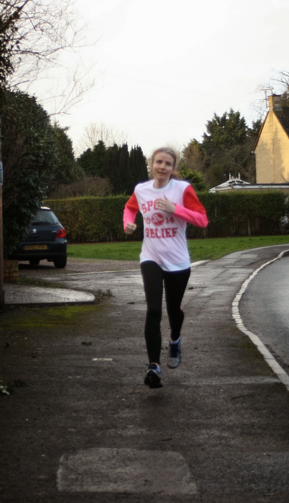 Team Honk Gloucestershire – sponsor now!