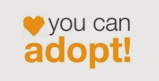 National Adoption Week 2013