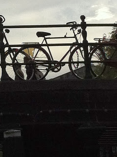 Cycling in Amsterdam – taking your life into your own hands