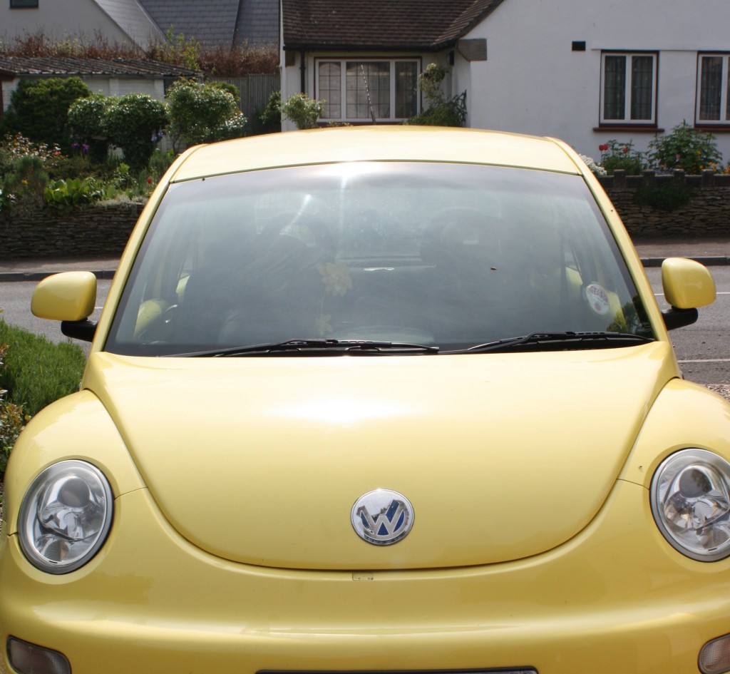 Silent Sunday, My Sunday photo, car, Beetle
