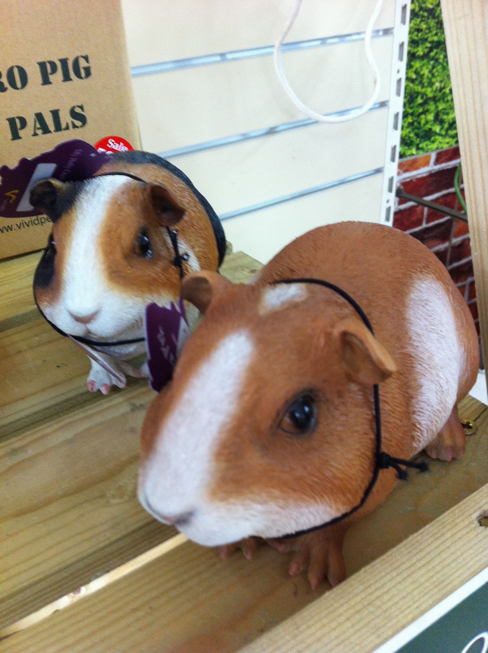 The Gallery, pets, guinea pig ornaments