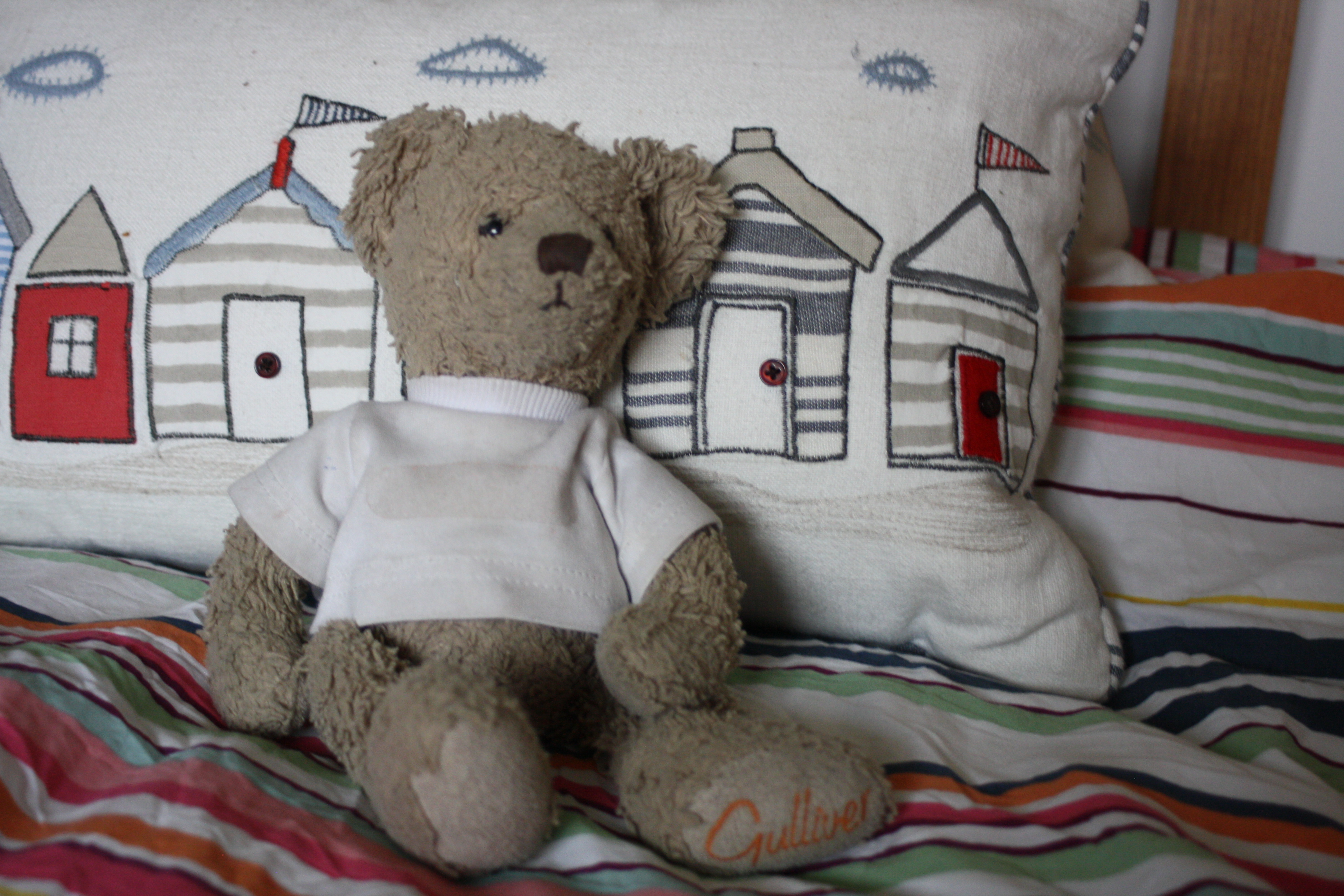 Teddy, Daughter 365
