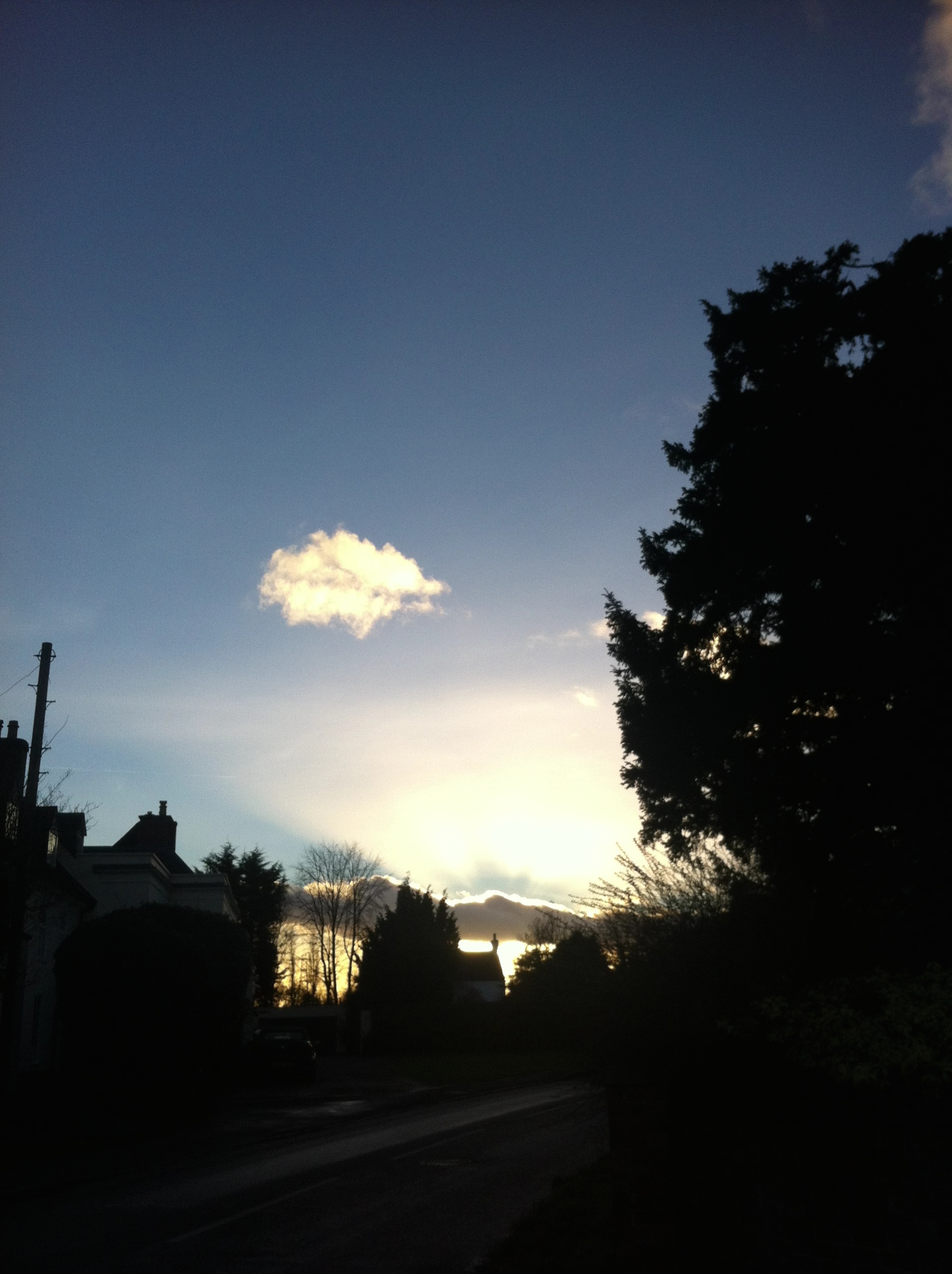 Silent Sunday, My Sunday Photo