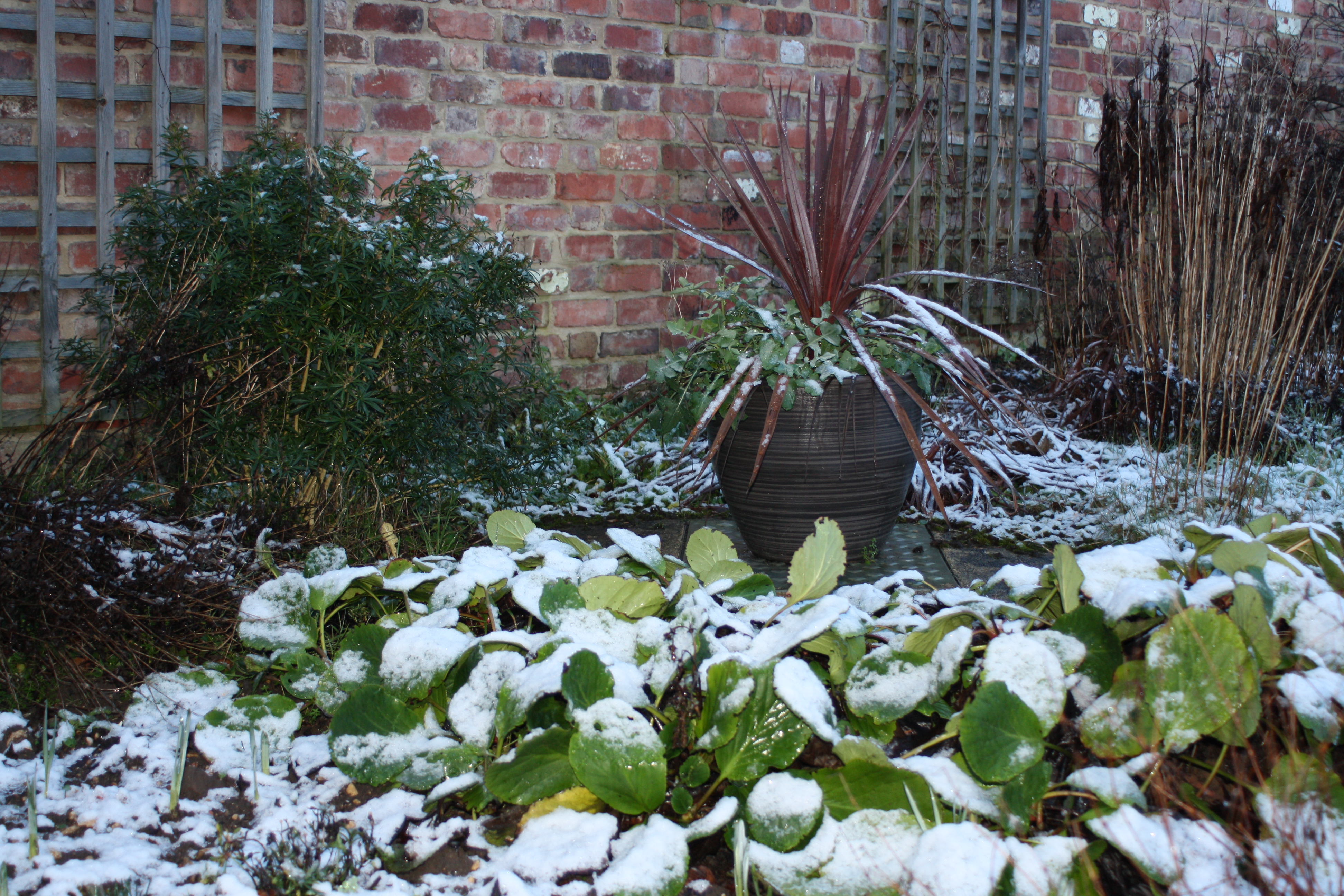 Snow, Garden, Weather, Cold, The Gallery