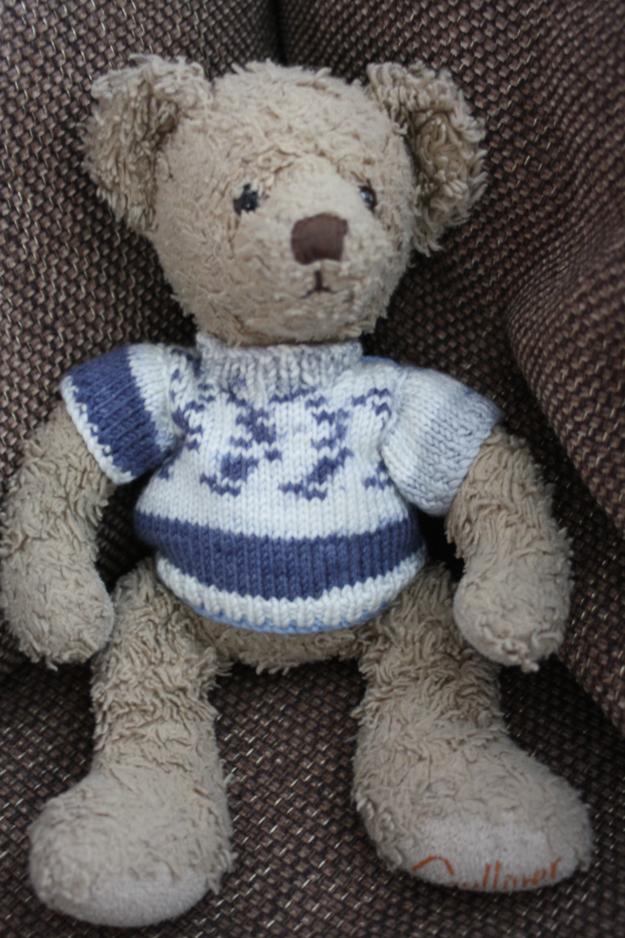 Teddy, Daughter, Jumper, 365