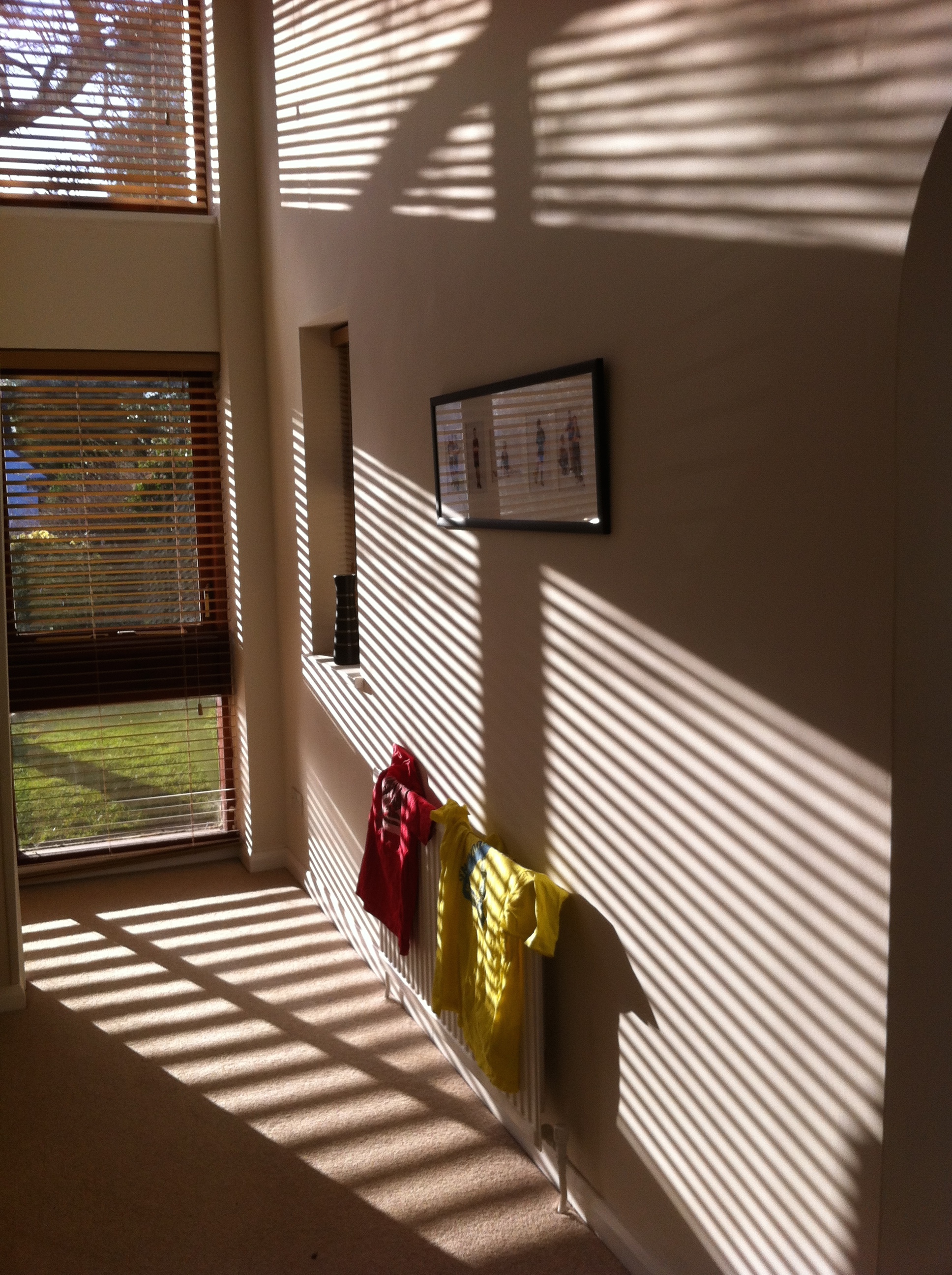 Sunlight, Window, Spring, 365