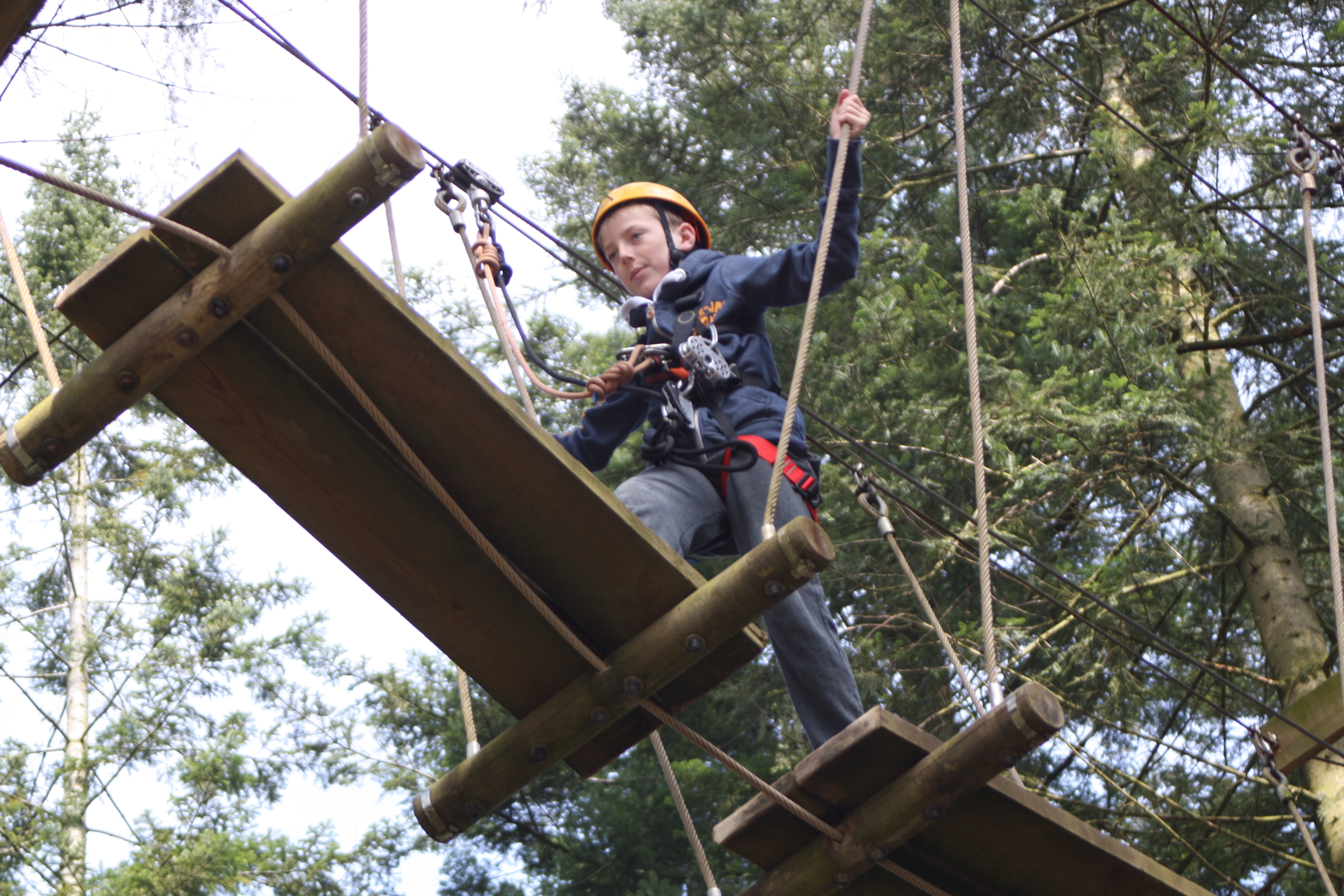 Aerial adventure, Tree trekking, Center Parcs, Holiday, 365