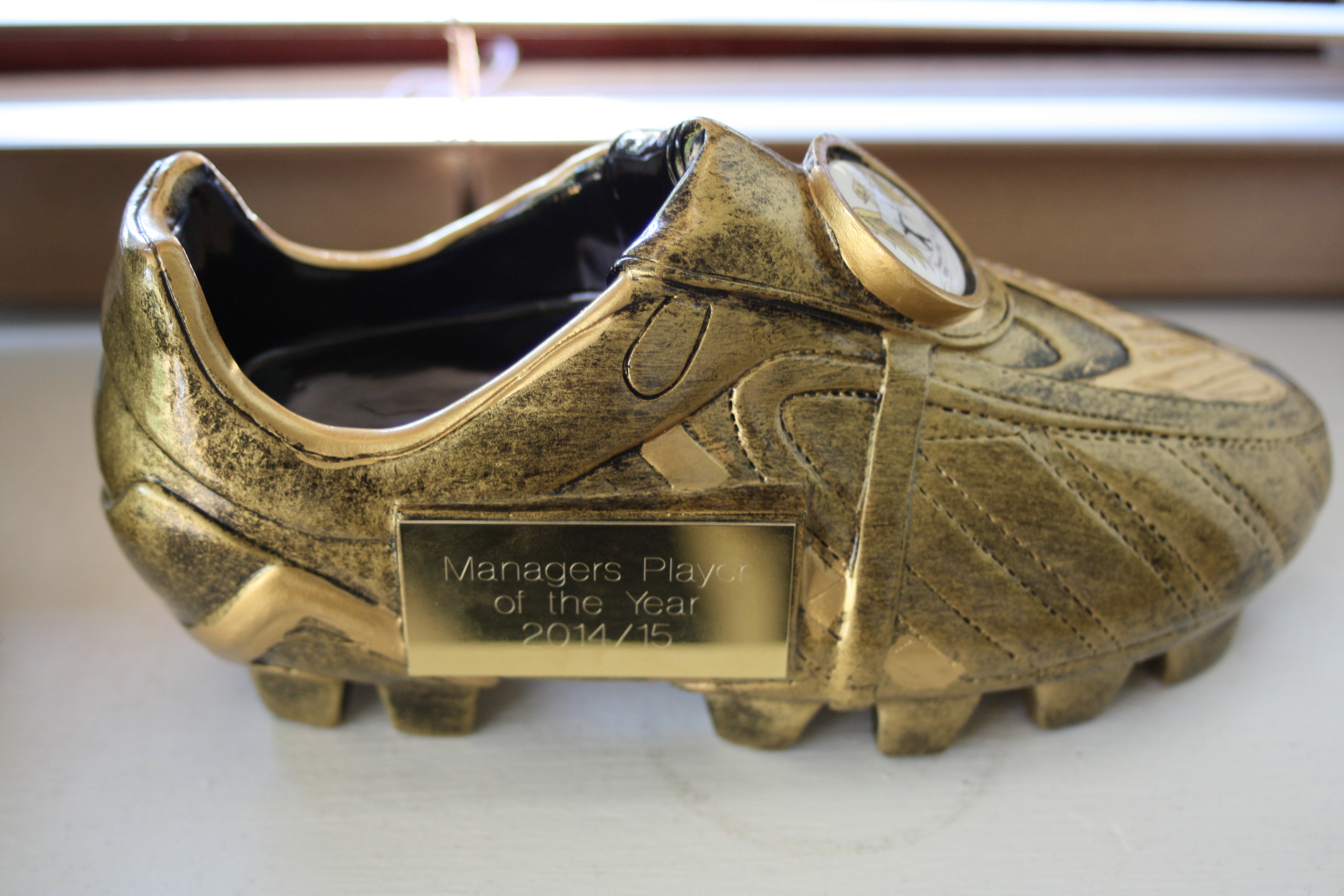 Football, Trophy, Son, Player of the Season, 365