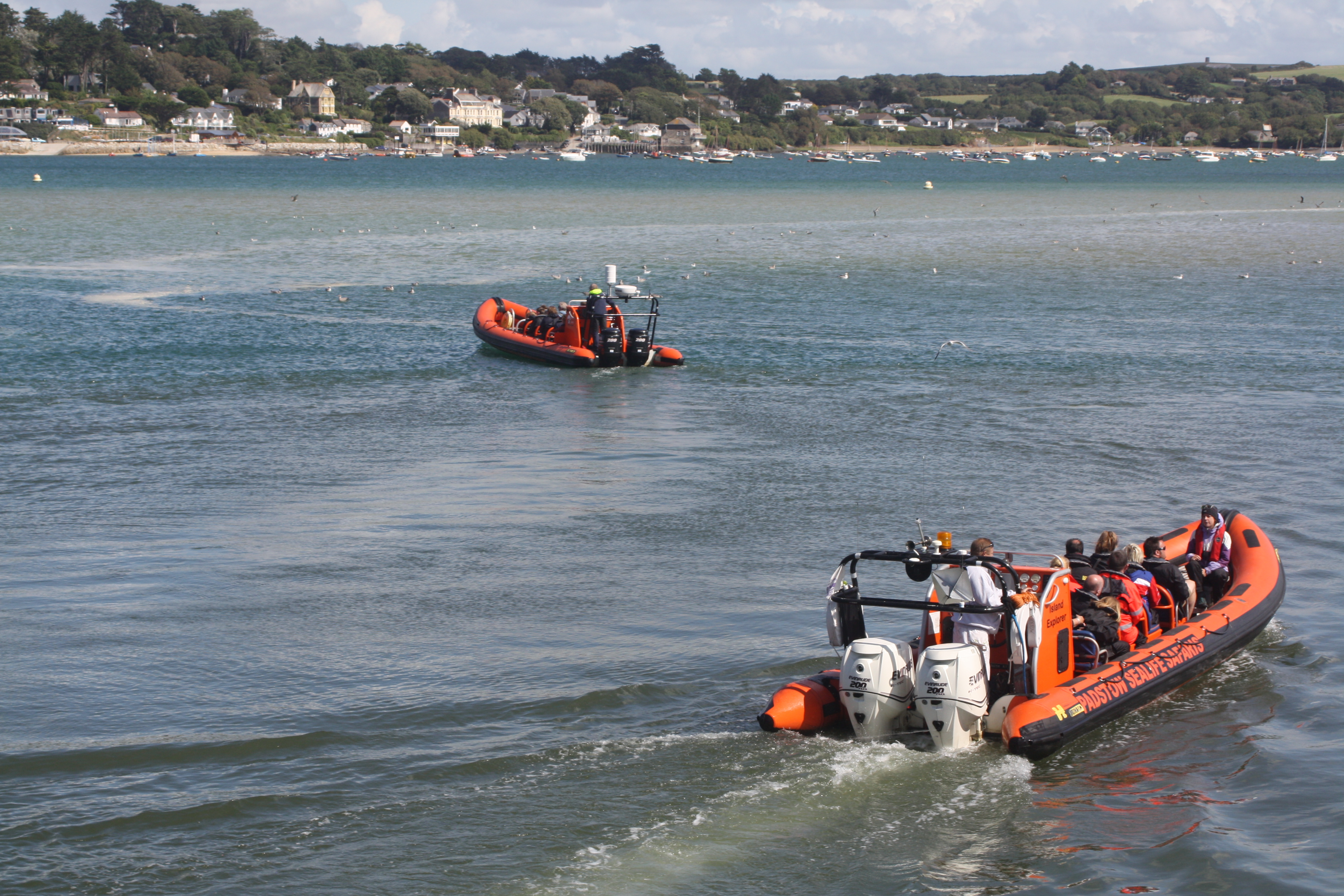 Sealife Safari, Padstow, Cornwall, Holiday