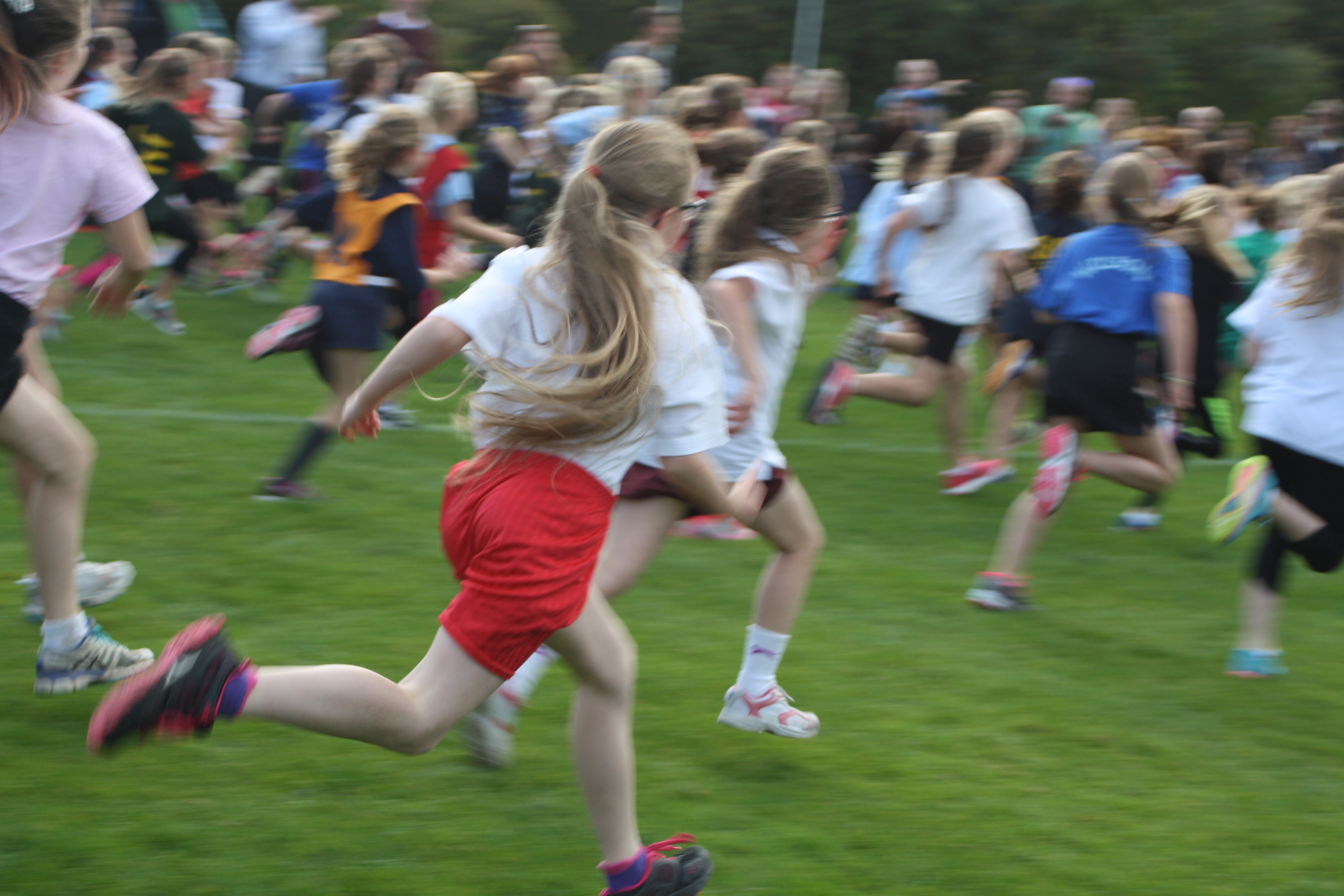Cross Country, Daughter, School, Running