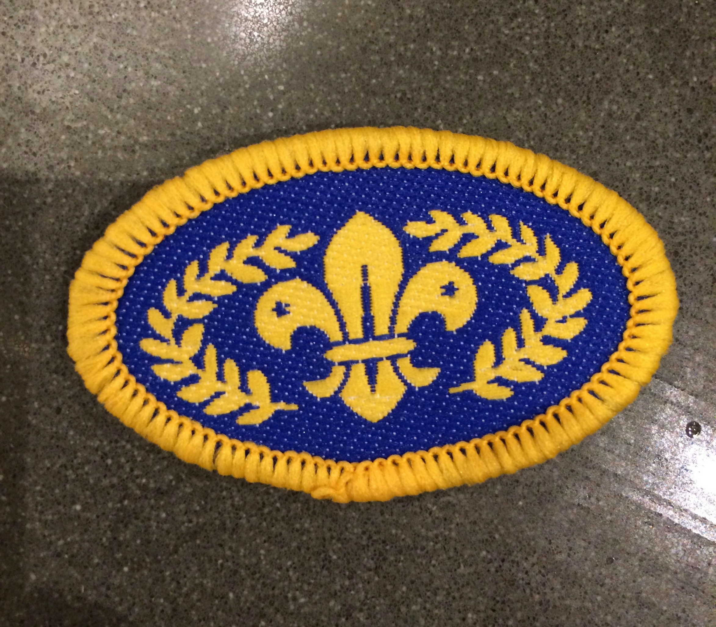 Chief Scouts Gold Award, Scouts, Son, 365