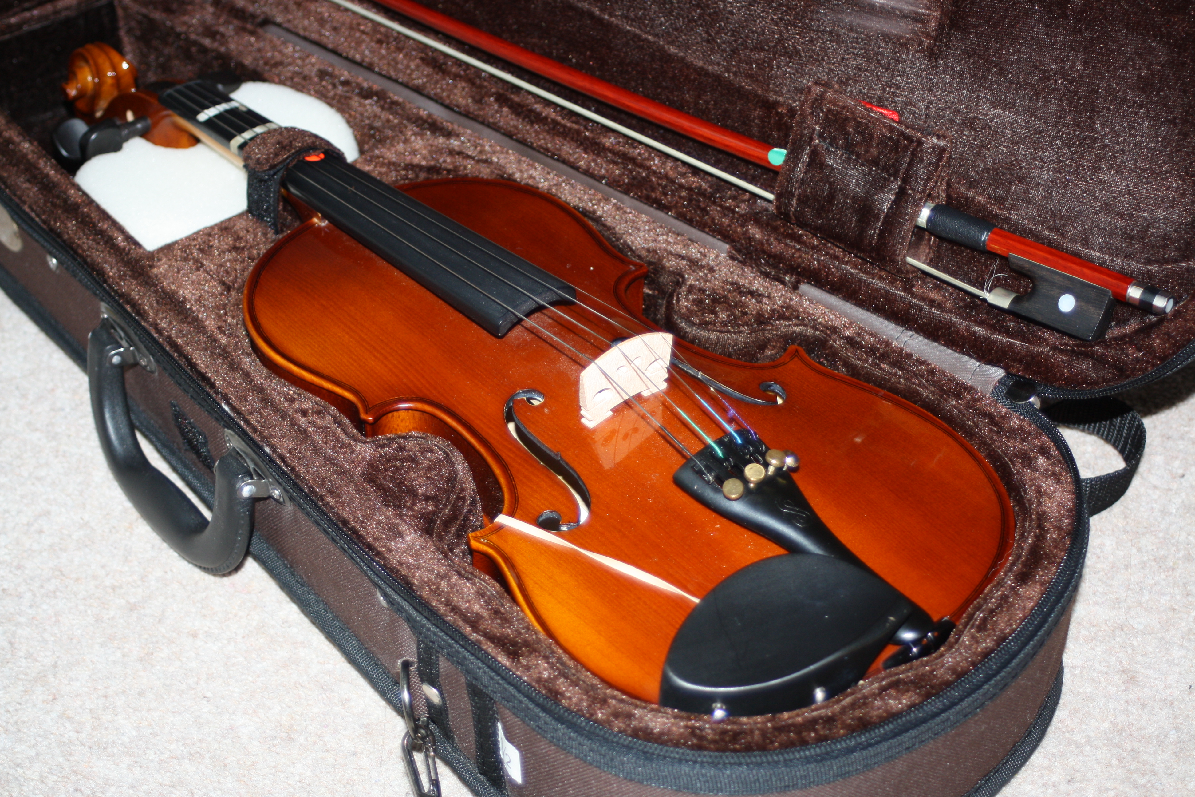 Violin, Violinist, Son, School concert