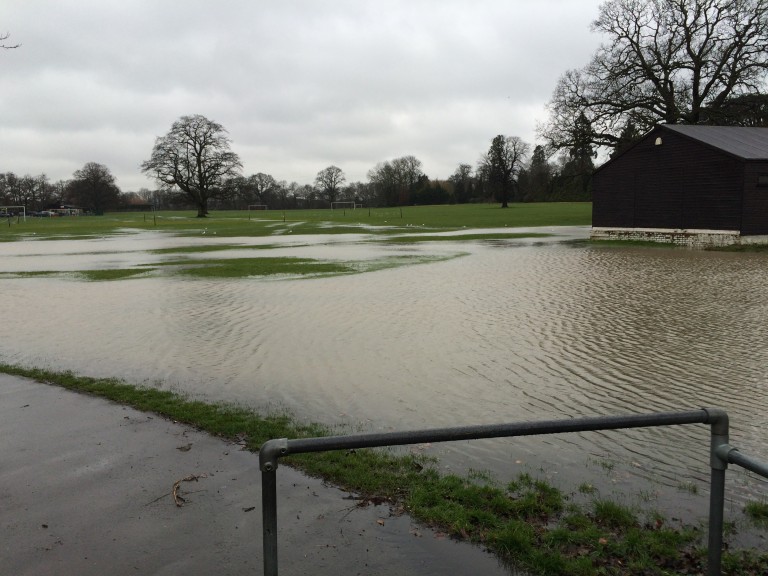 Flood, Park, 365, 366