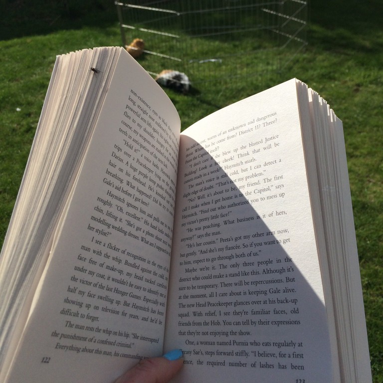 Garden, Book, 365, 366