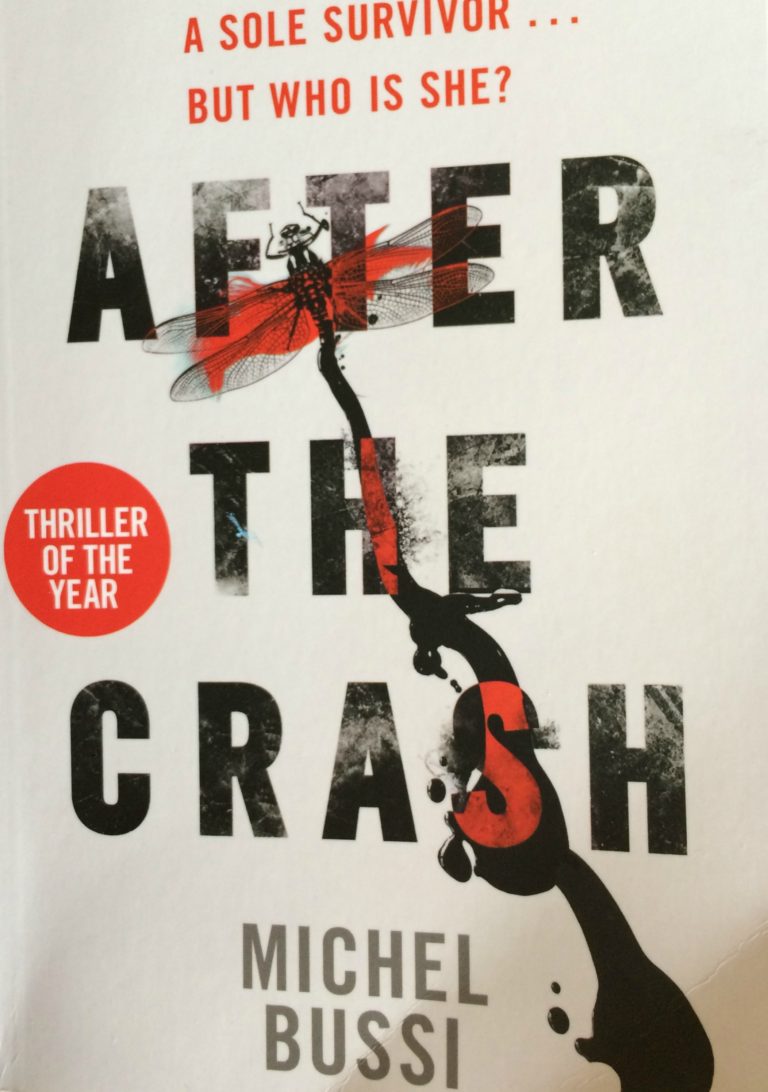 After the Crash, Michel Bussi, Book review
