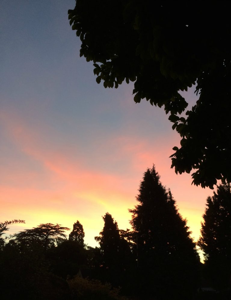 Sunrise, Sky, 365, 366