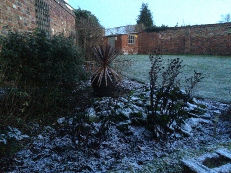 Garden, Snow, 365