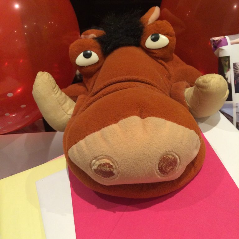 Silent Sunday, My Sunday Photo, Birthday, 11th birthday, Pumba