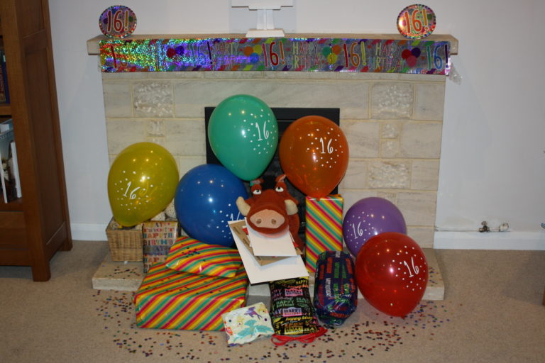 365, Birthday, Son, 16th birthday, Pumba