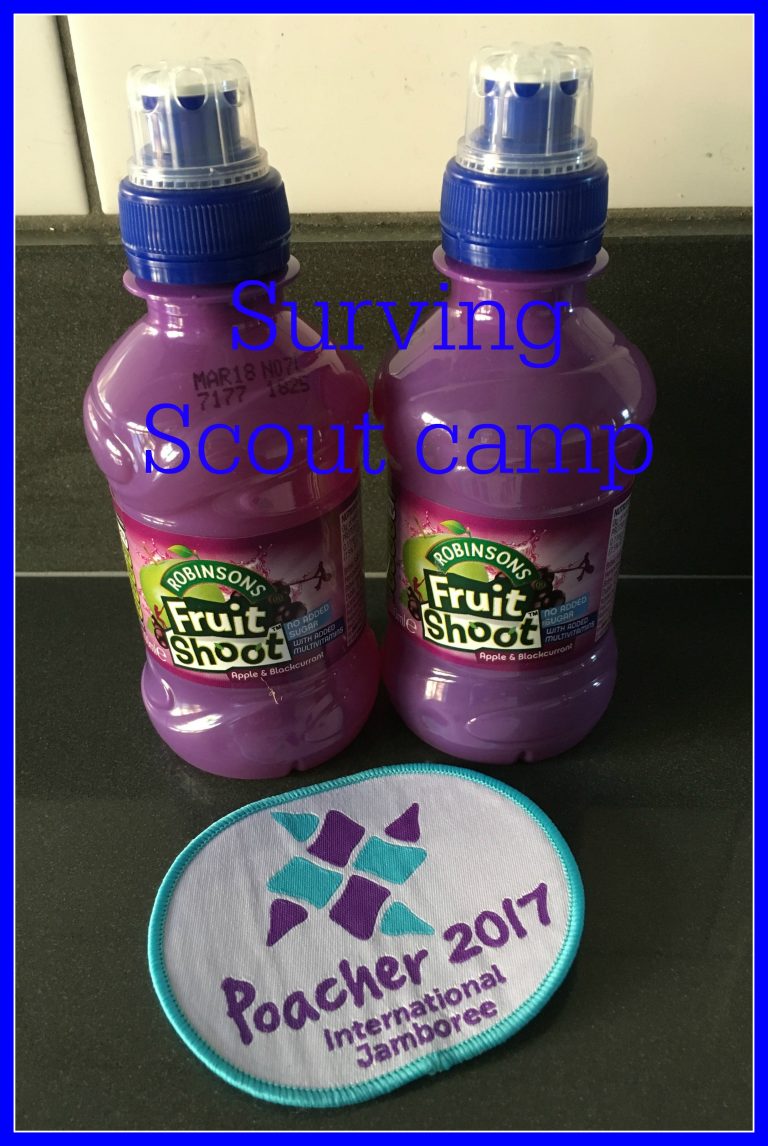 Surviving Scout camp