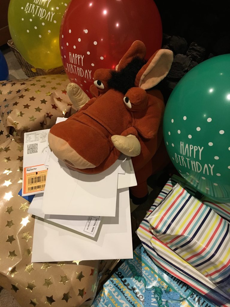 Silent Sunday, My Sunday Photo, 14th birthday, Son, Pumba