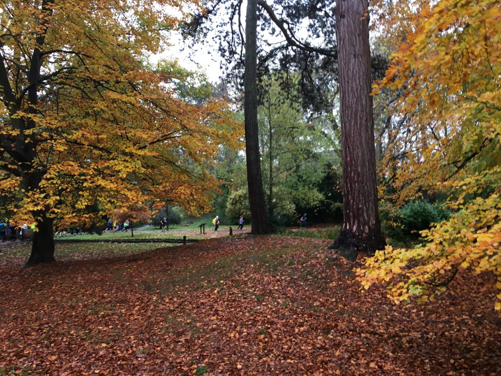 Autumn, Parkrun, Silent Sunday, My Silent Sunday