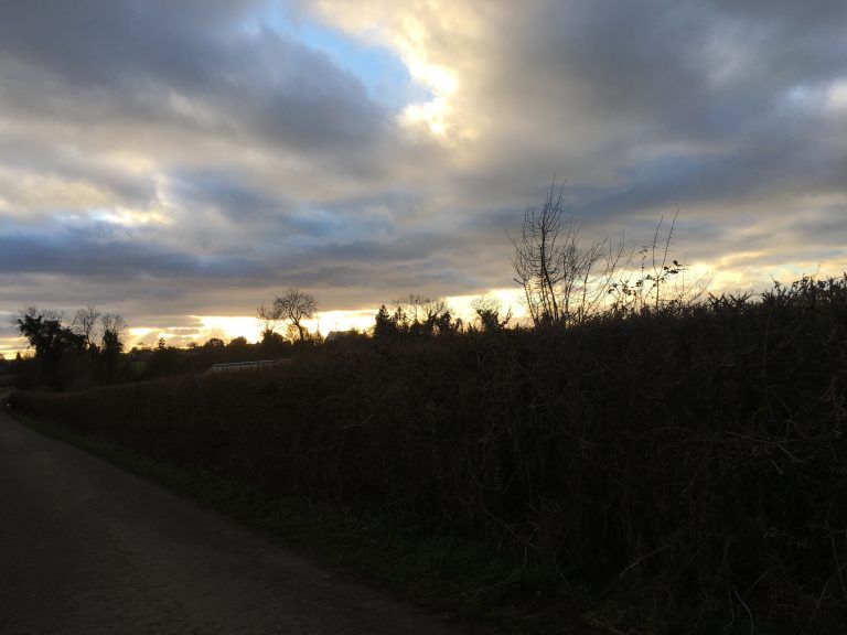 Landscape, Walking, Sunset, Winter, 365