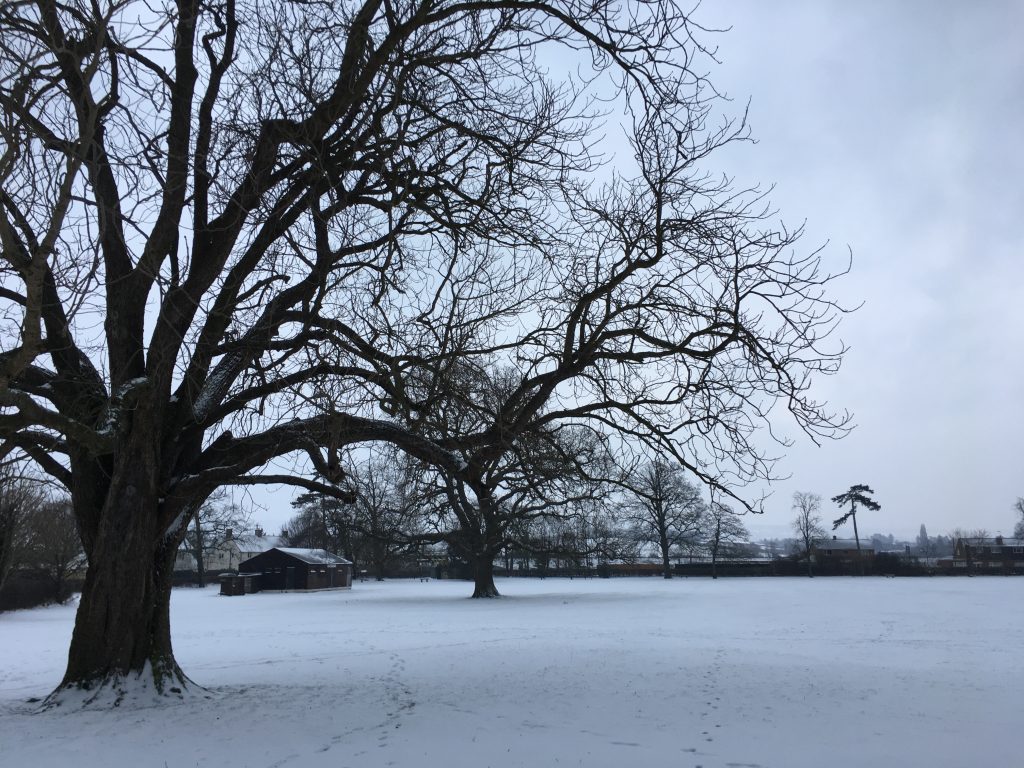 Snow, Beast from the East, Winter, Silent Sunday, My Sunday Photo