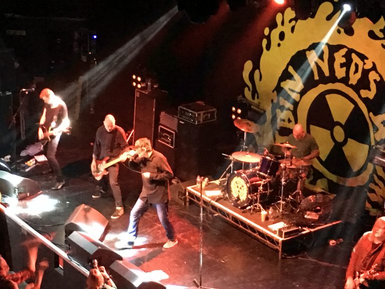 Ned's Atomic Dustbin, Concert, Gig, Ned's Atomic Dustbin Wonder Stuff and not growing old