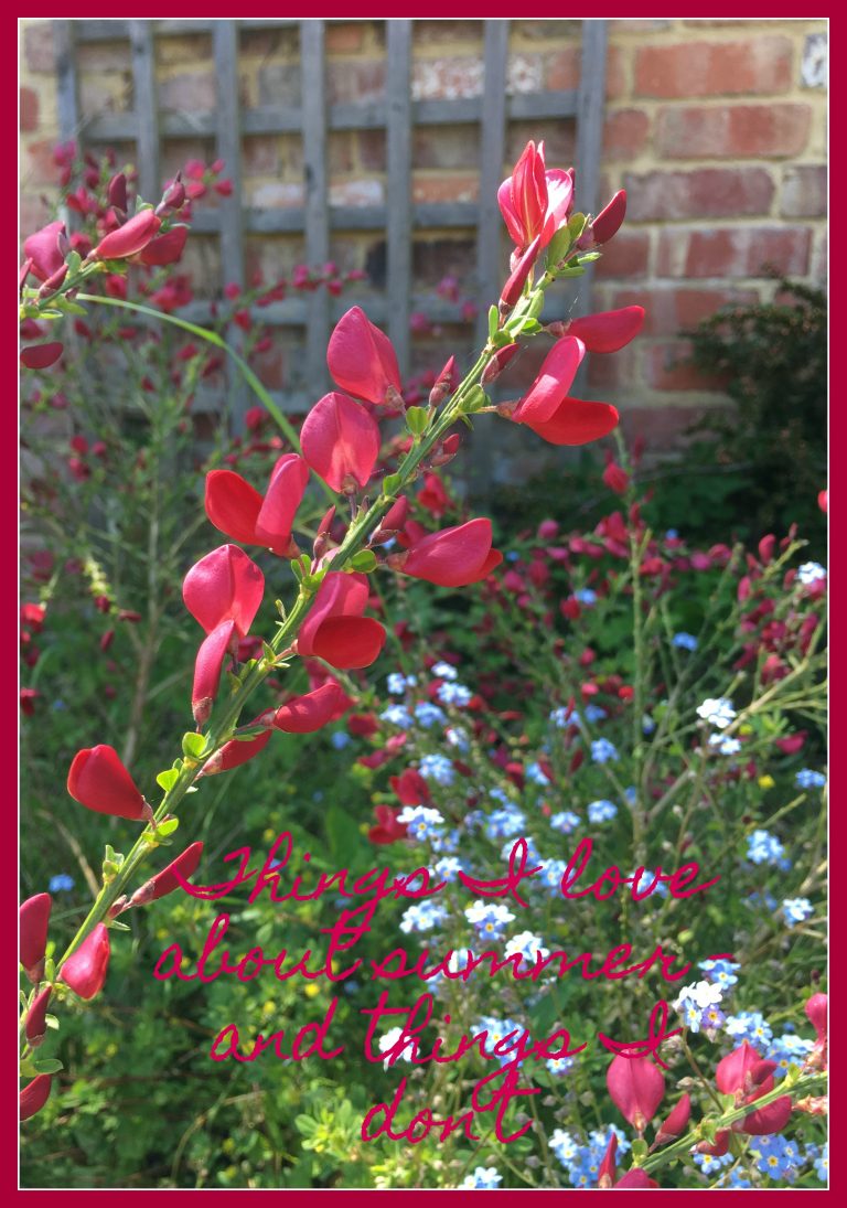 Summer, Spring, Flowers, Things I love about summer - and things I don't