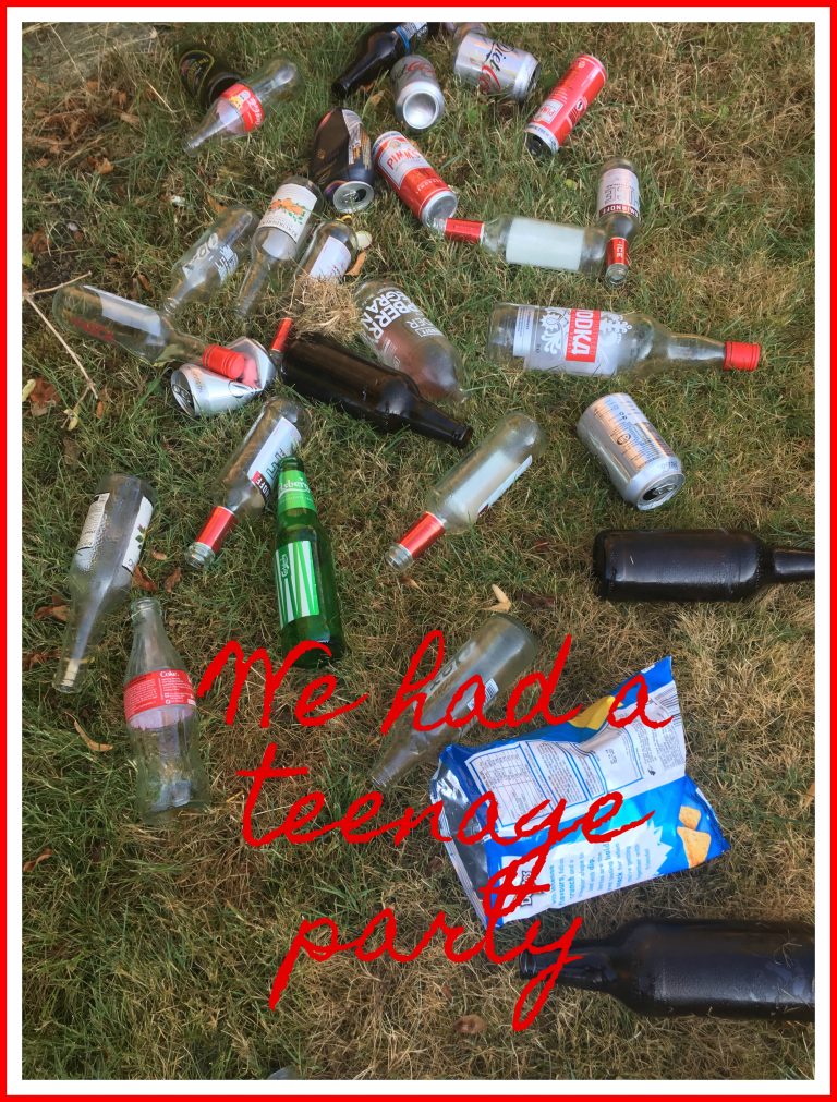Teenage party, We had a teenage party, Alcohol, Bottles