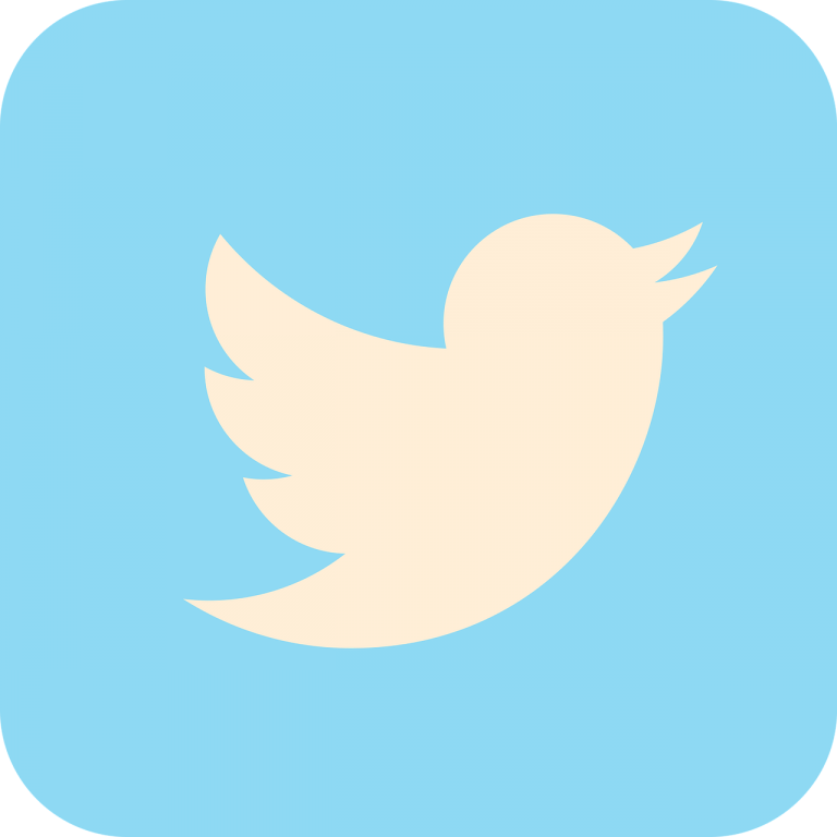 Twitter judgement