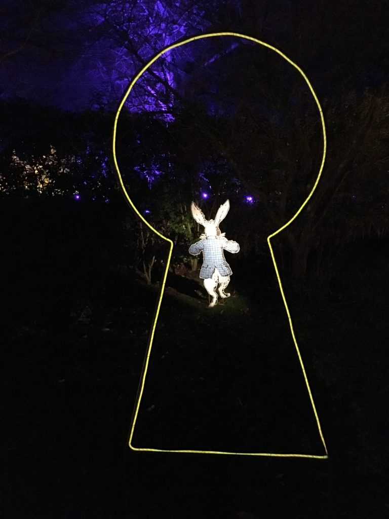 My Sunday Photo, Silent Sunday, Sudeley Castle Spectacle of Light, Alice in Wonderland