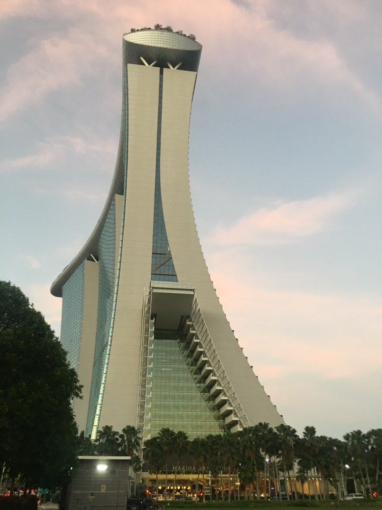 Singapore, Travelling, Son, Silent Sunday, My Sunday Snapshot