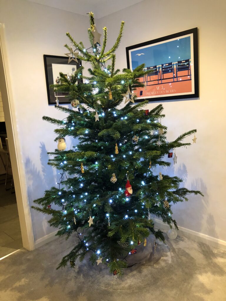 Christmas tree, Christmas lights, Christmas decorations, Silent Sunday, My Sunday Photo