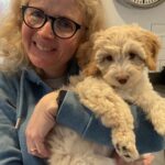 Puppy, Hetty, Cockapoo, Cockerpoo, Silent Sunday, My Sunday Photo
