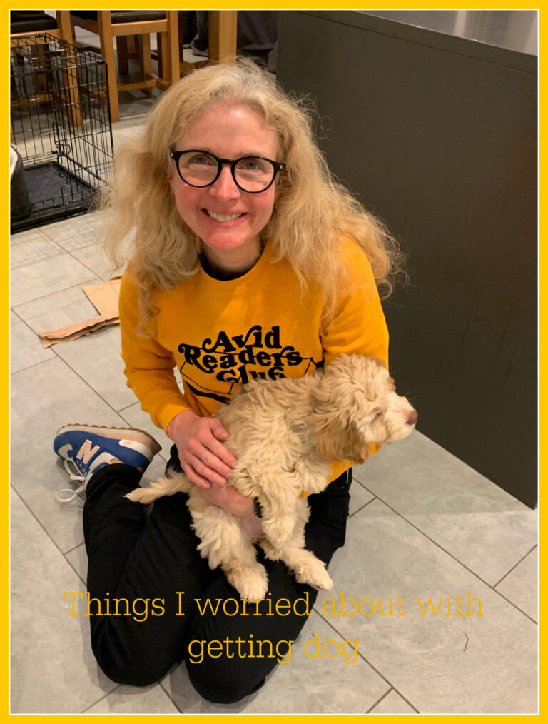 Dog, Puppy, Cockapoo, Cockerpoo