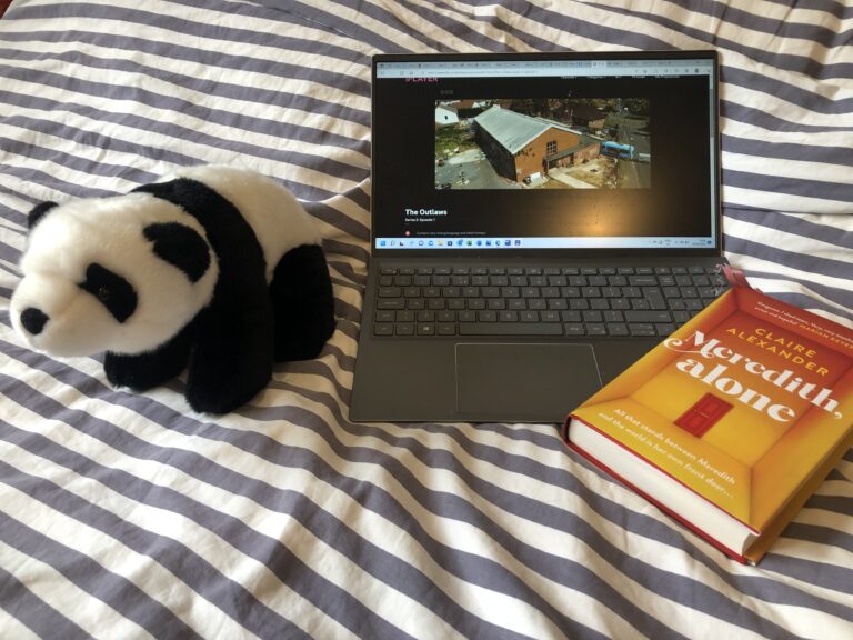 Laptop, iPlayer, Book, Reading, Toy panda, Covid-19 isolation