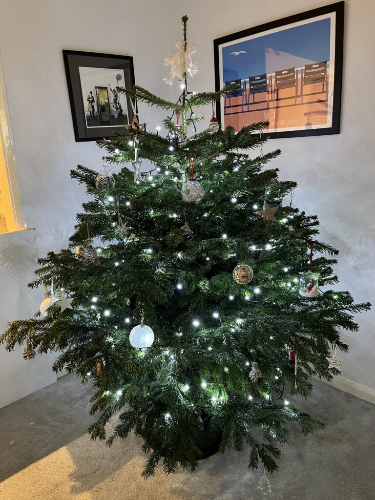 Christmas tree, Christmas lights, Christmas decorations, Silent Sunday, My Sunday Photo