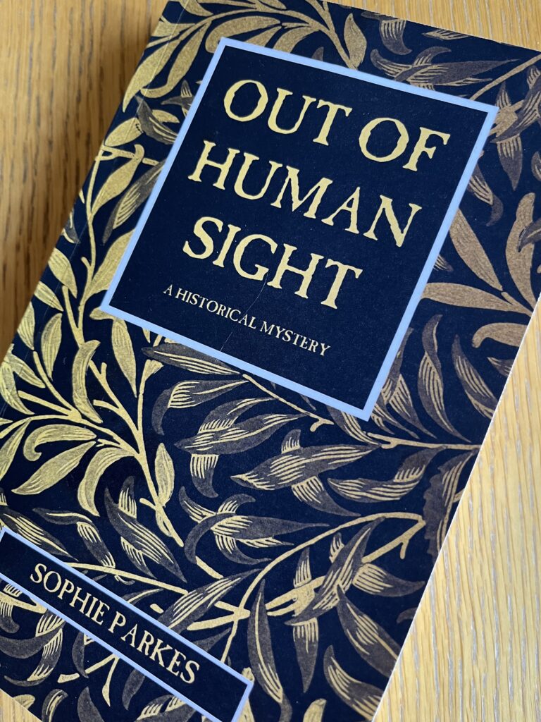 Out of Human Sight by Sophie Parkes, Out of Human Sight, Sophie Parkes, Book review