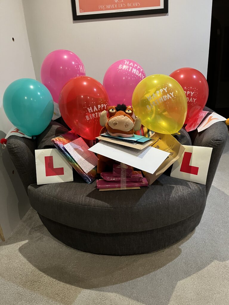 Birthday presents, Balloons, Birthday cards, Birthday, 17th birthday, Pumbaa, L plates, Silent Sunday, My Sunday Photo