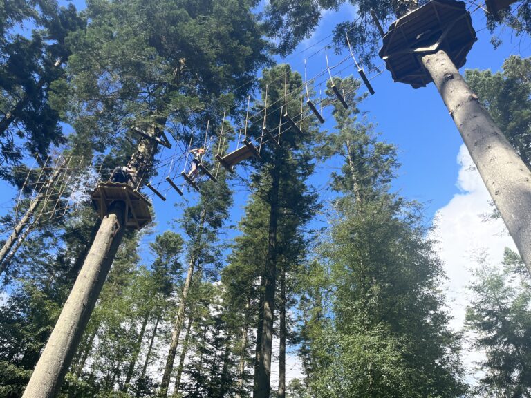 Aerial Adventure at Center Parcs, Aerial Adventure, Center Parcs Longleat, A girl walks along a high wooden bridge between two tall trees