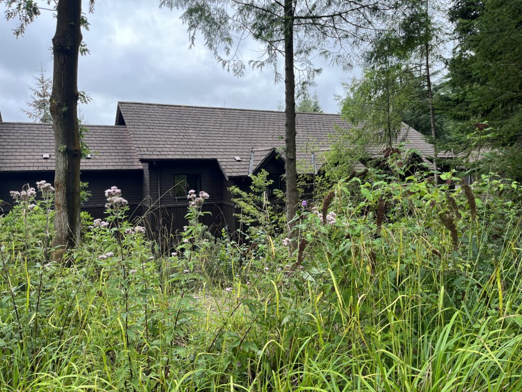 Executive Lodges, Executive Lodges at Center Parcs, Center Parcs Longleat, Roofs of houses seen through trees and long grass