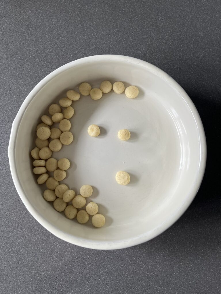 Dog food, Dry dog food, Hypoallergenic dog food, Picture shows a dog bowl containing a few pieces of light coloured dry dog food