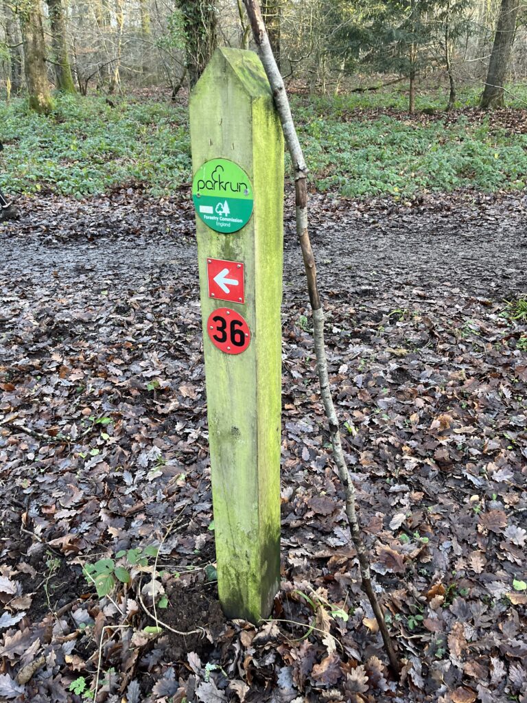 Forest of Dean parkrun, Parkrun tourism, A wooden post in a forest with a red arrow and a number 36 and a green parkrun plaque on it
