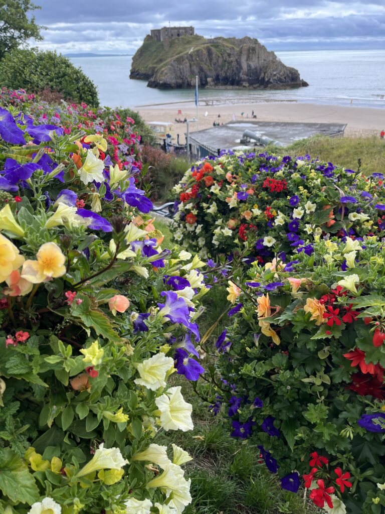 Tenby, Flowers, Beach, Island, Pembrokeshire, Holiday, Silent Sunday, My Sunday Photo, A small rocky island and the beach and sea can be seen in the distance behind some colourful flowers