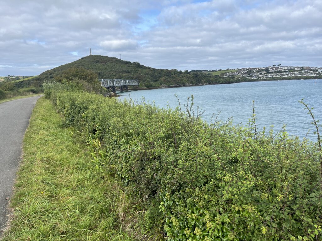 Padstow, Camel Trail, Holiday, Cornwall, Off-peak holiday, An estuary with a green hedge and a tarmac trail and a metal bridge and small hill and town visible in the distance
