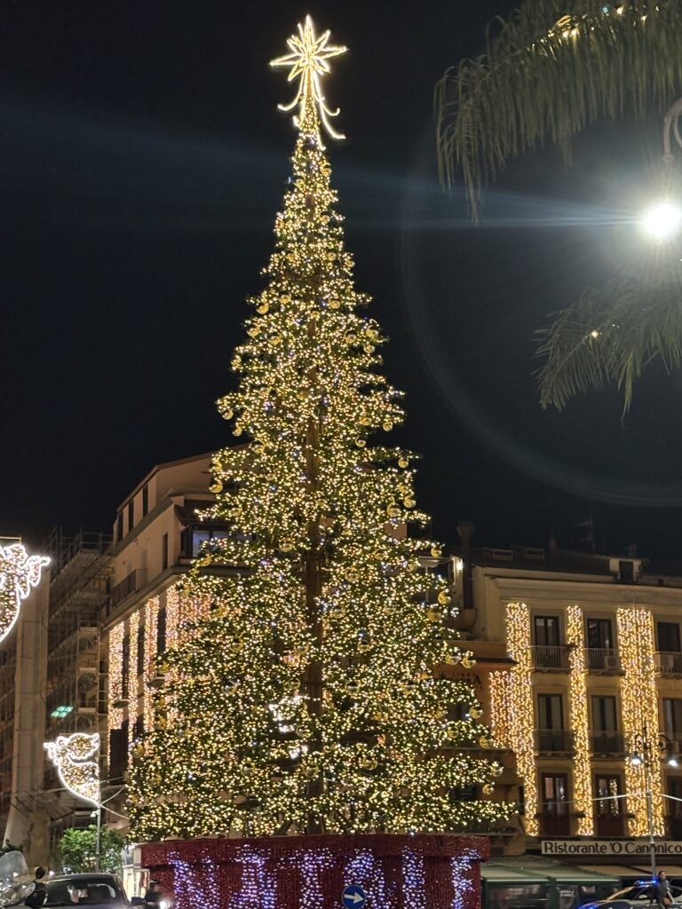 Christmas tree, Sorrento, Italy, A tall Christmas tree covered in white lights with a white star on top in darkness with buildings covered in white Christmas lights in the background